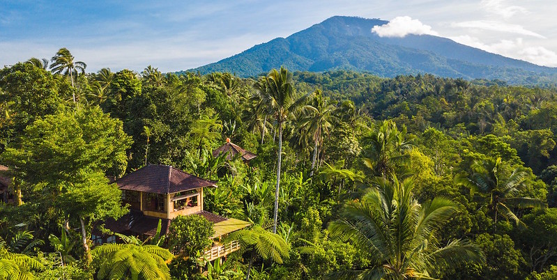 33735398488_83dc15d27a_c