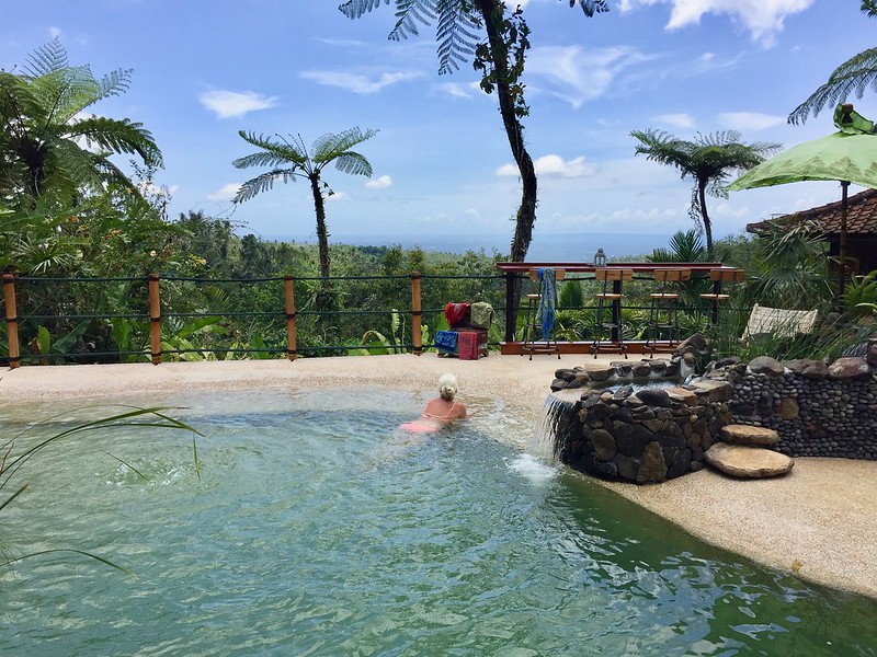 49504119961_1f62e3d798_c