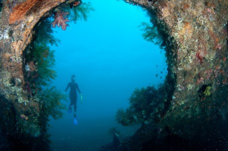 Copyright-Cdelacy-2012-4219